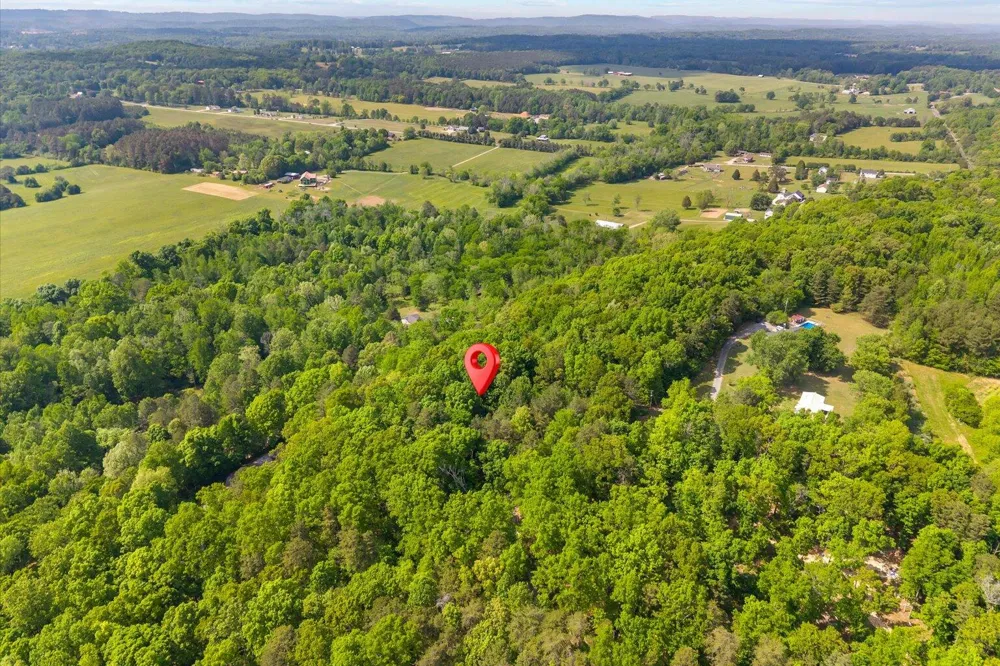 Holli Bird Ringgold, GA 30736
