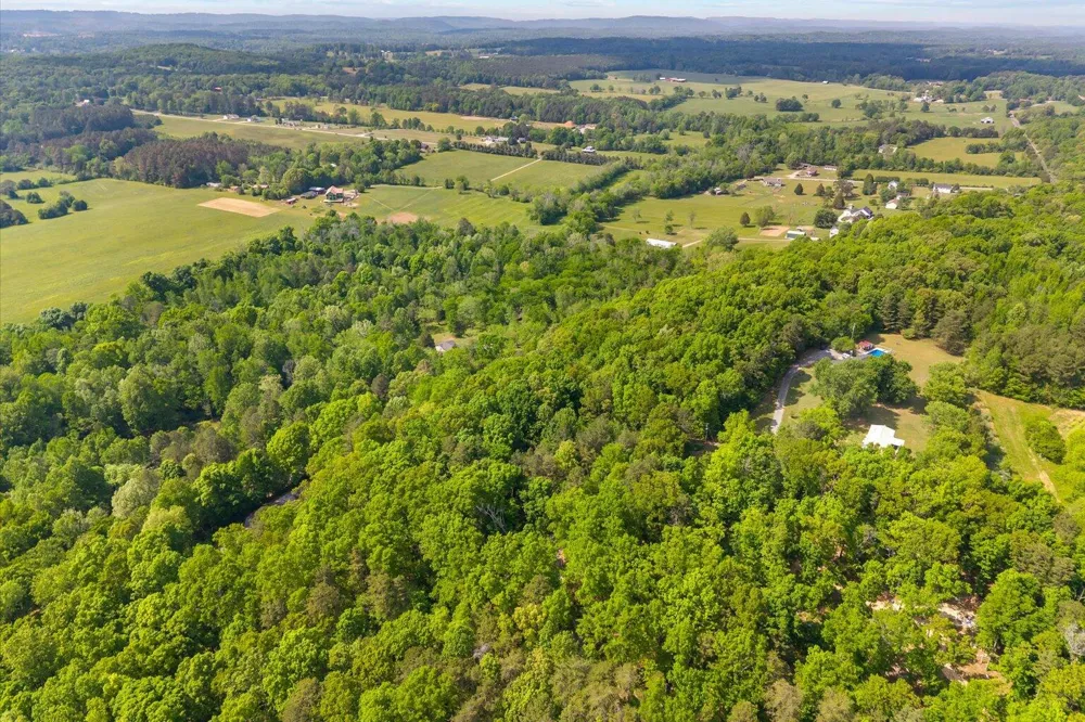 Holli Bird Ringgold, GA 30736