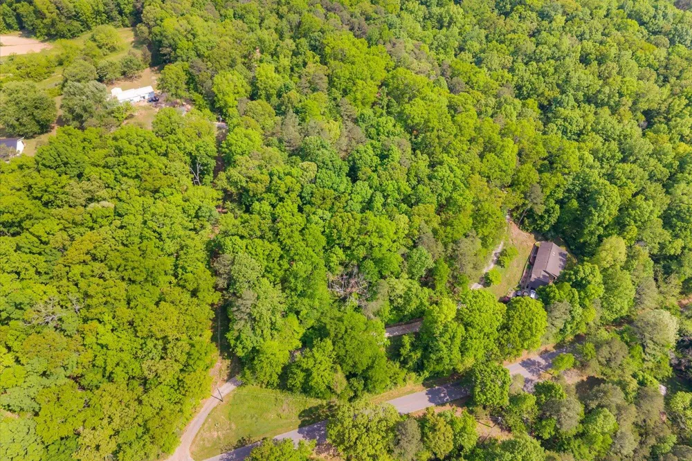 Holli Bird Ringgold, GA 30736