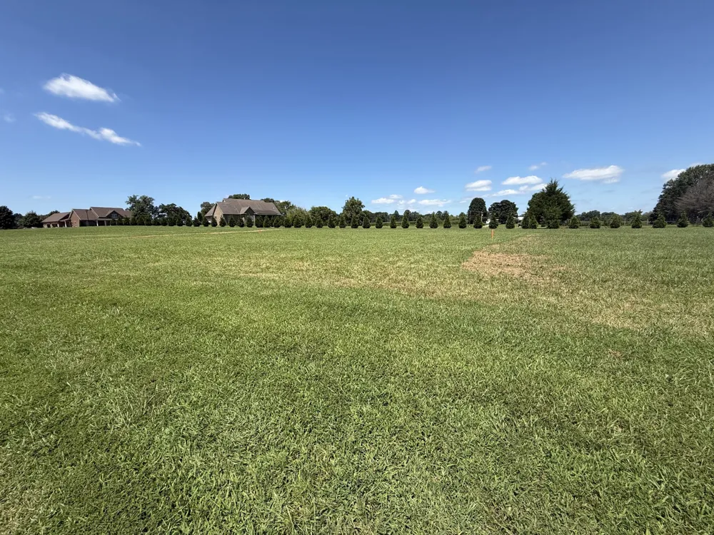 0 Boro Circle Hillsboro, TN 37342
