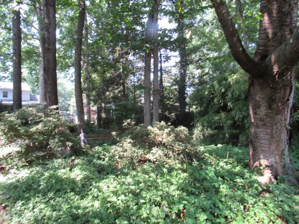 621 ENSMINGER DRIVE York, PA 17407