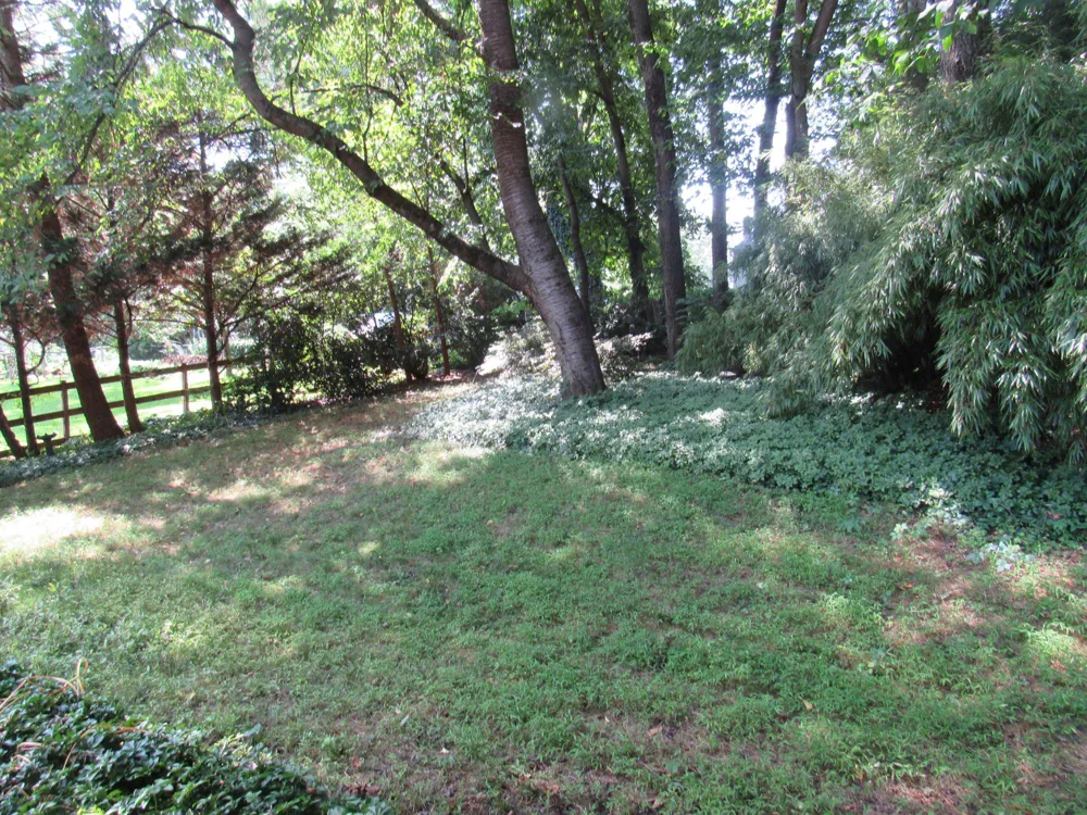 621 ENSMINGER DRIVE York, PA 17407