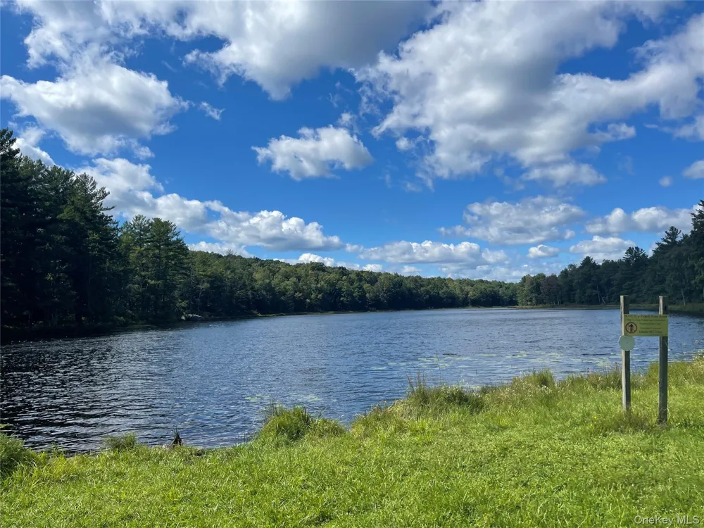 8 Willow Lane Monticello, NY 12701