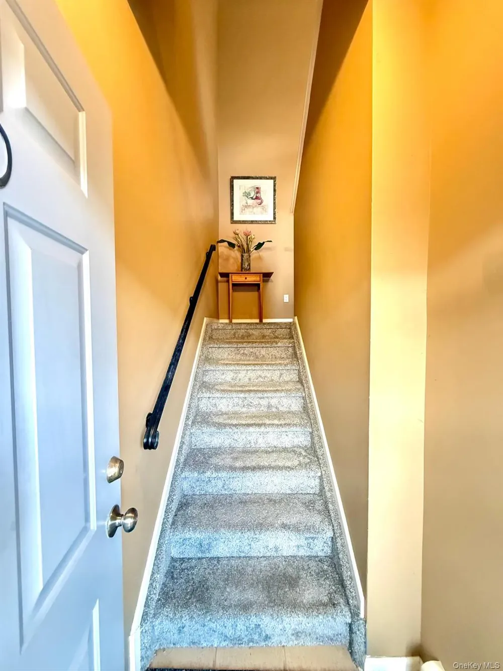 197 Fulton Street #20 Farmingdale, NY 11735