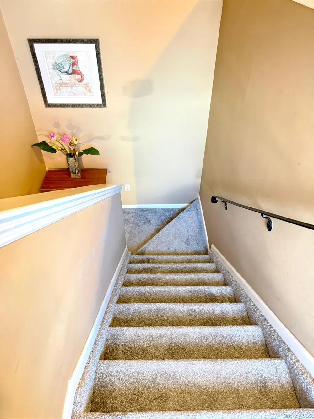 197 Fulton Street #20 Farmingdale, NY 11735