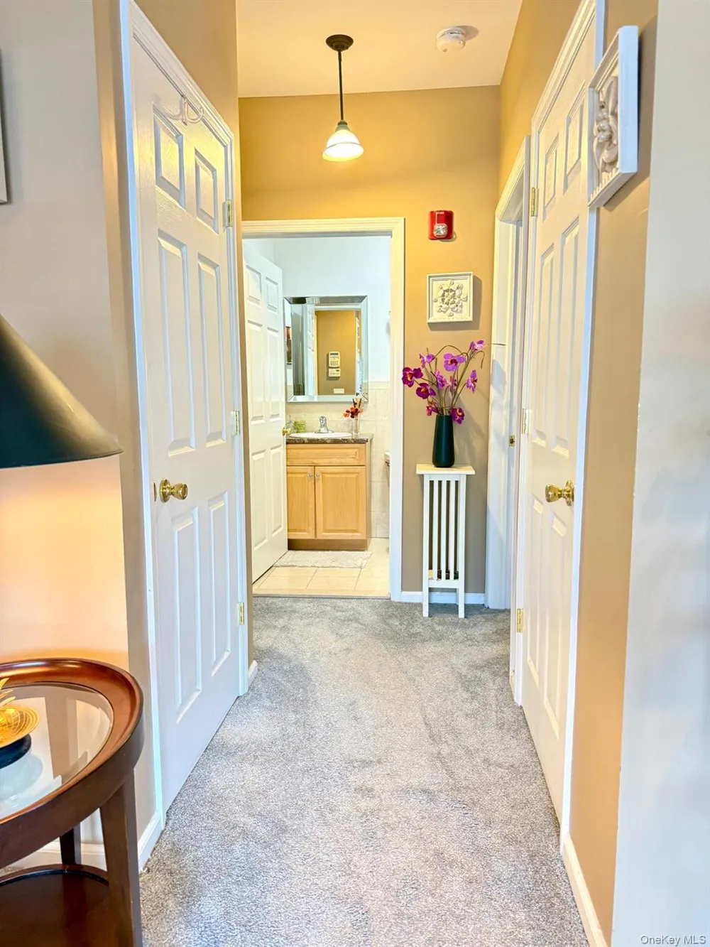 197 Fulton Street #20 Farmingdale, NY 11735