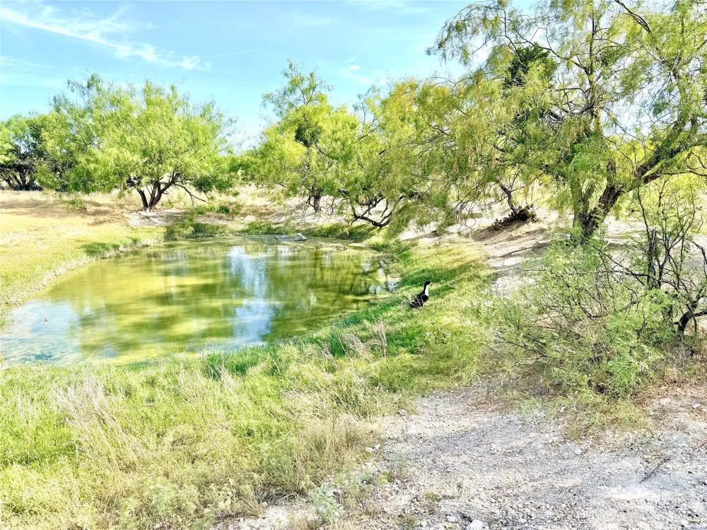 211 Fm 3023 S Goldthwaite, TX 76844