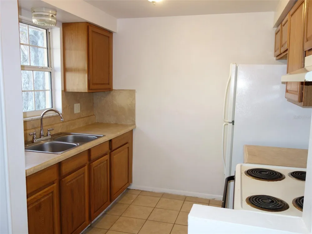 1407 COPPERTREE DRIVE Tarpon Springs, FL 34689