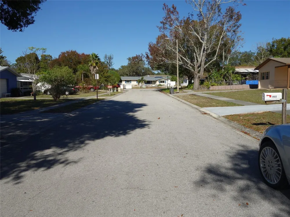 1407 COPPERTREE DRIVE Tarpon Springs, FL 34689