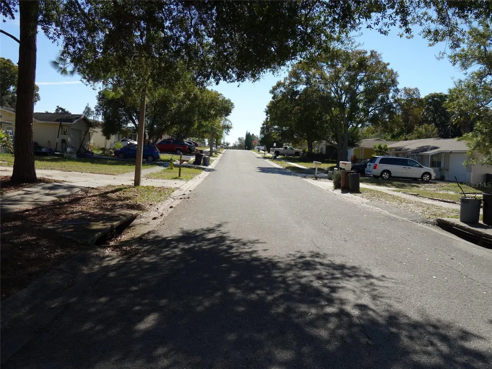 1407 COPPERTREE DRIVE Tarpon Springs, FL 34689