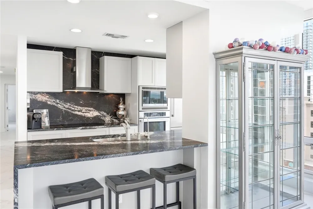 175 1ST STREET S #1008 St Petersburg, FL 33701