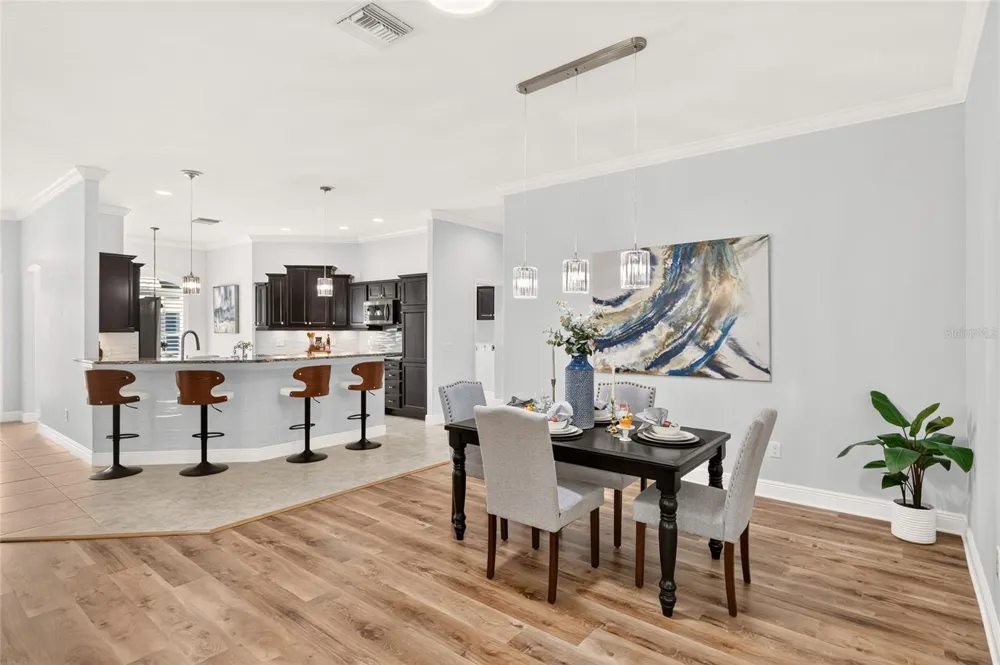 3984 MCDOWELL DRIVE The Villages, FL 32163