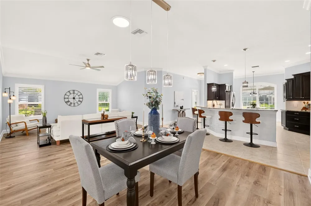 3984 MCDOWELL DRIVE The Villages, FL 32163