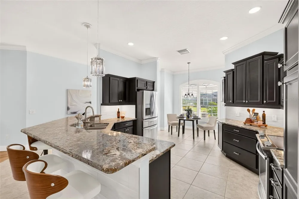 3984 MCDOWELL DRIVE The Villages, FL 32163
