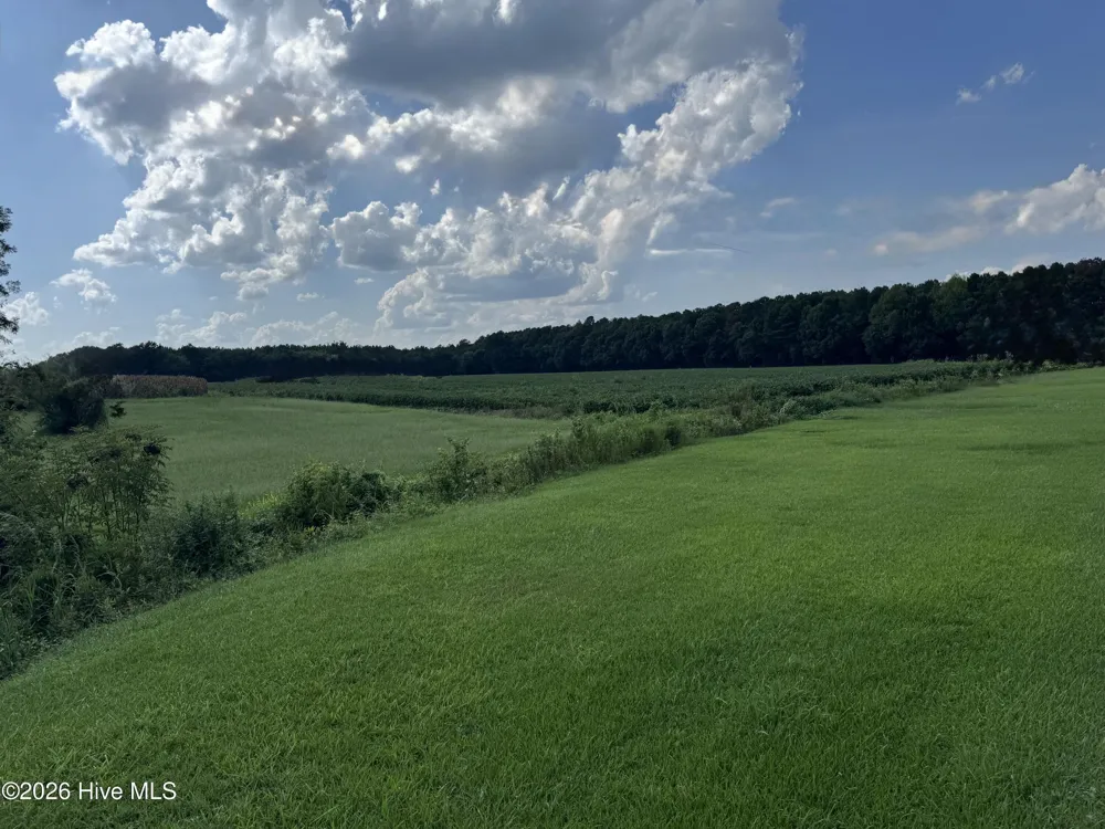 252 Haw Branch Road Richlands, NC 28574