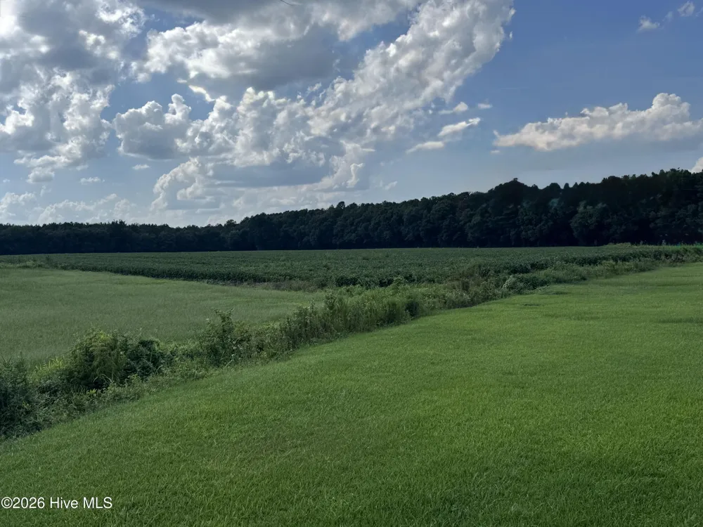 252 Haw Branch Road Richlands, NC 28574