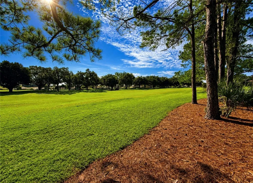 15669 SW 14TH AVENUE ROAD ocala, FL 34473