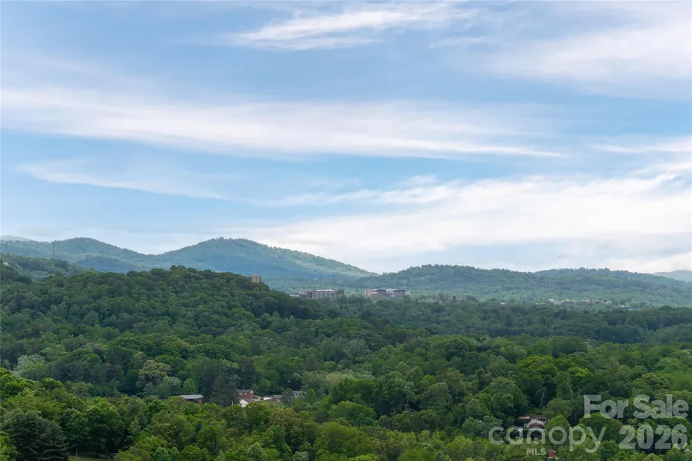 153 Mills Place Asheville, NC 28804