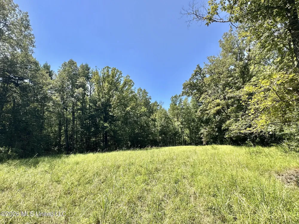1 County Road 24 Enterprise, MS 39330