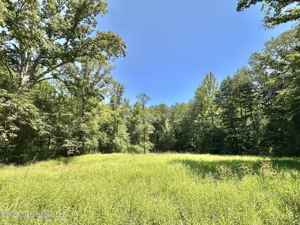 1 County Road 24 Enterprise, MS 39330
