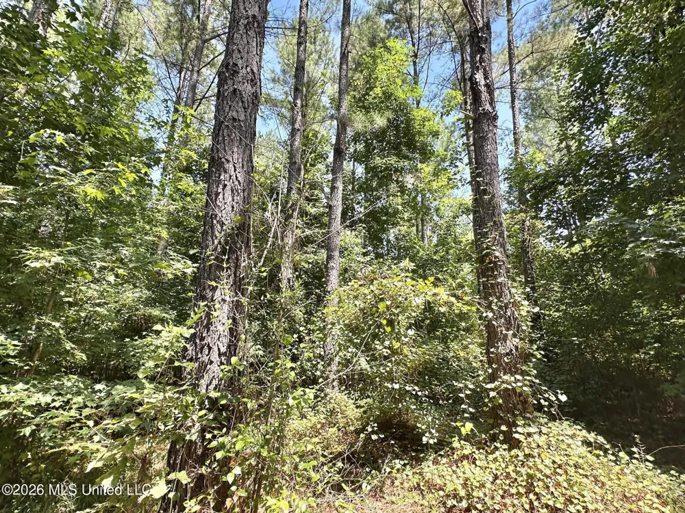 1 County Road 24 Enterprise, MS 39330