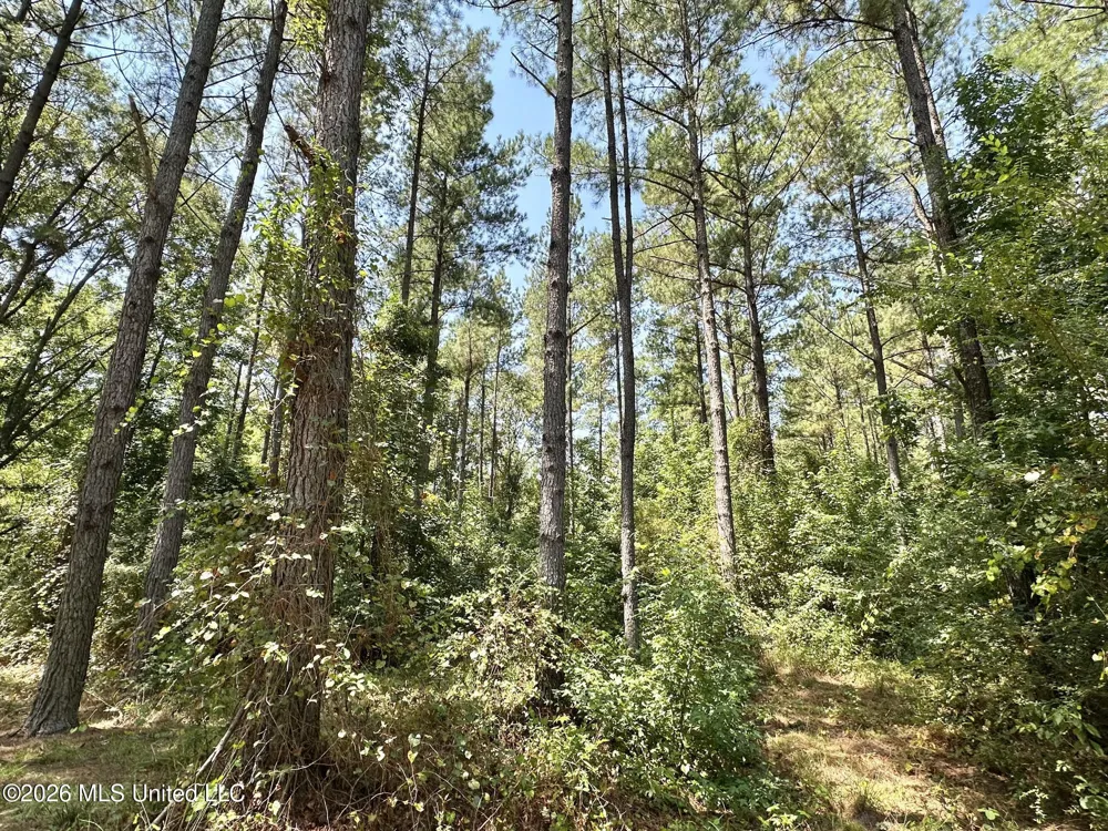 1 County Road 24 Enterprise, MS 39330