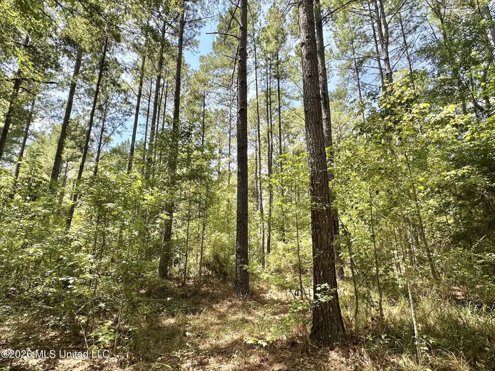 1 County Road 24 Enterprise, MS 39330