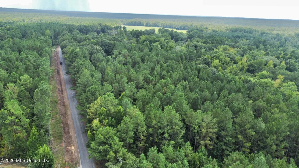 1 County Road 24 Enterprise, MS 39330