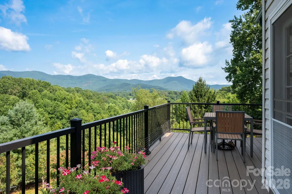 92 S Lindon Cove Road Candler, NC 28715