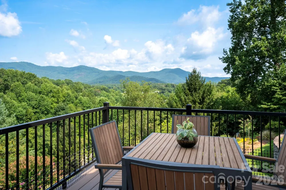 92 S Lindon Cove Road Candler, NC 28715