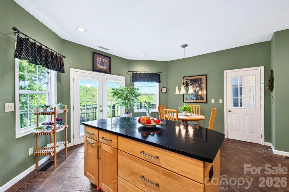 92 S Lindon Cove Road Candler, NC 28715