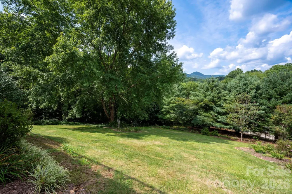 92 S Lindon Cove Road Candler, NC 28715