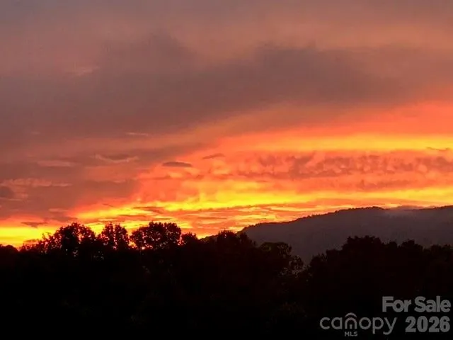92 S Lindon Cove Road Candler, NC 28715