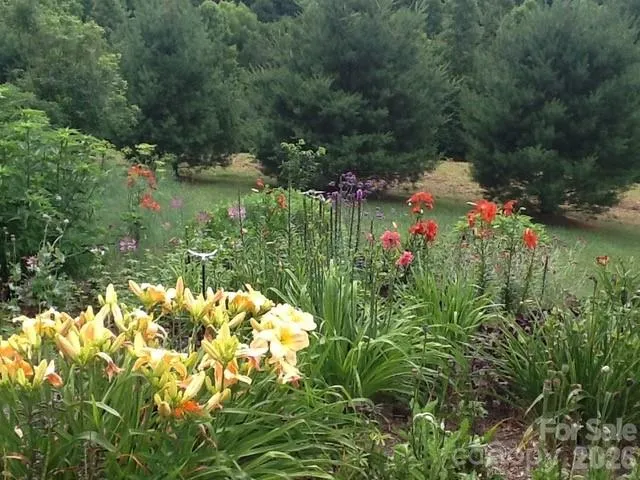 92 S Lindon Cove Road Candler, NC 28715