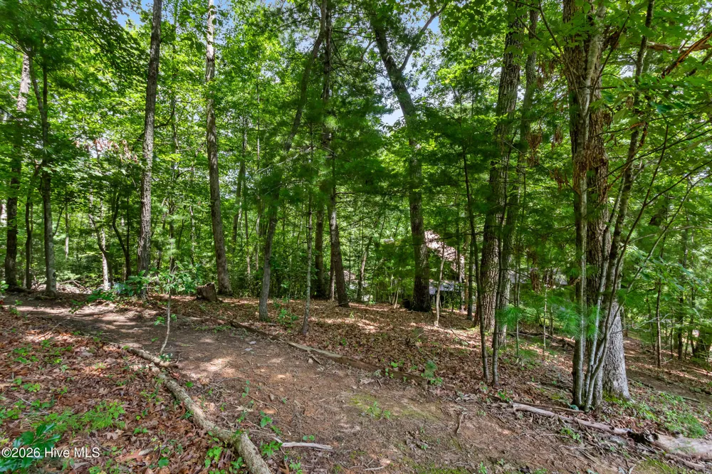 317 W Hills Drive Murphy, NC 28906