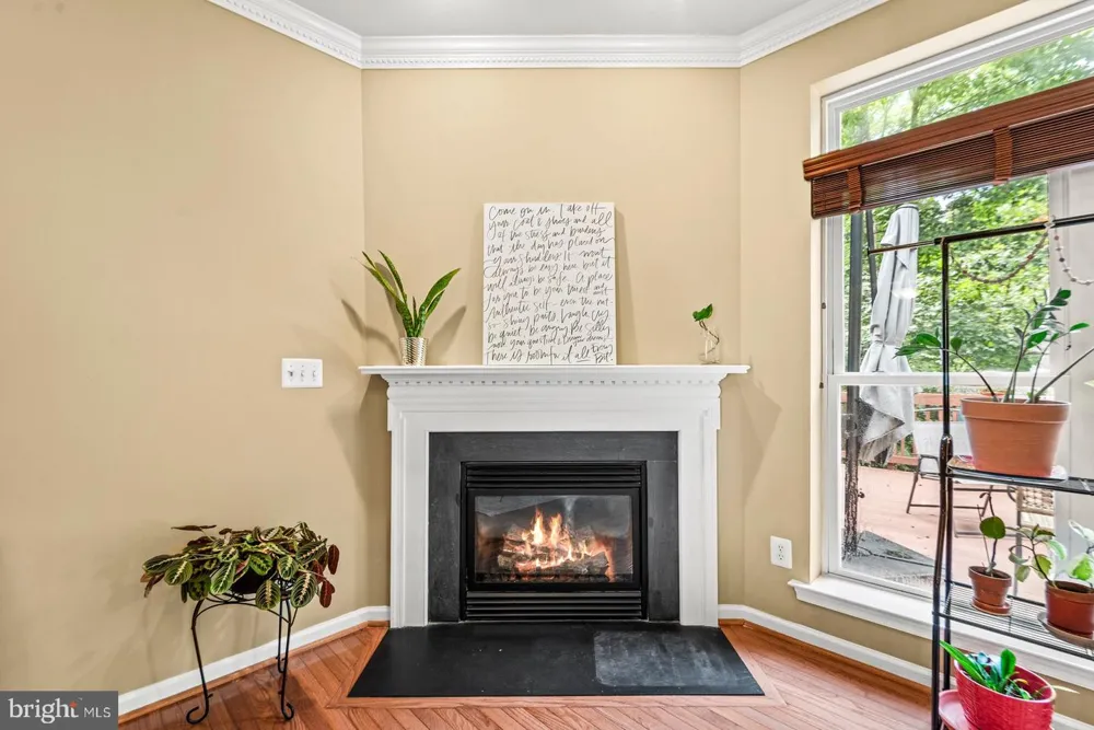 108 MONROE STREET Locust Grove, VA 22508