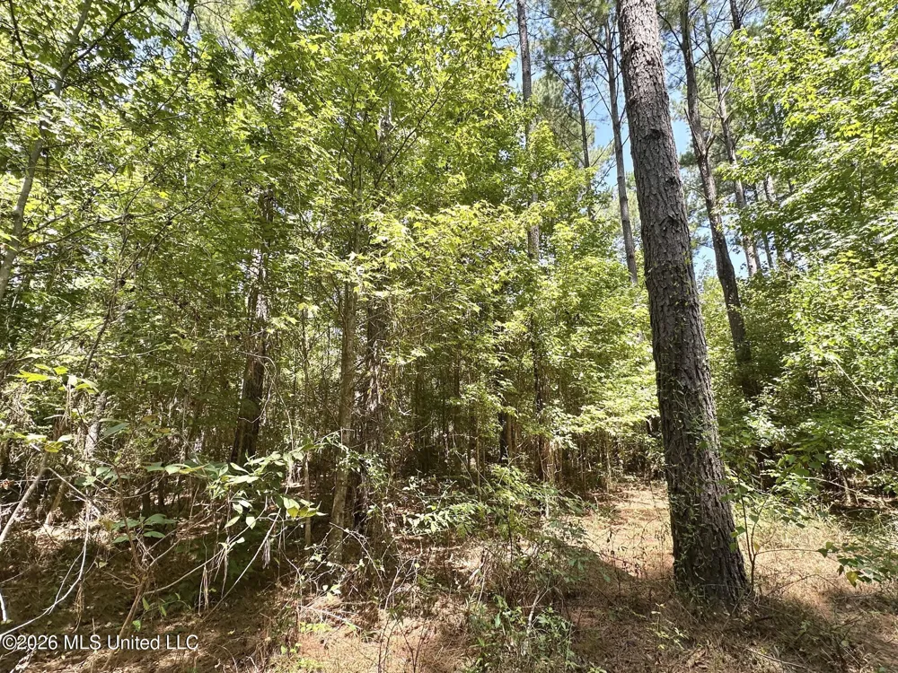 2 County Road 24 Enterprise, MS 39330