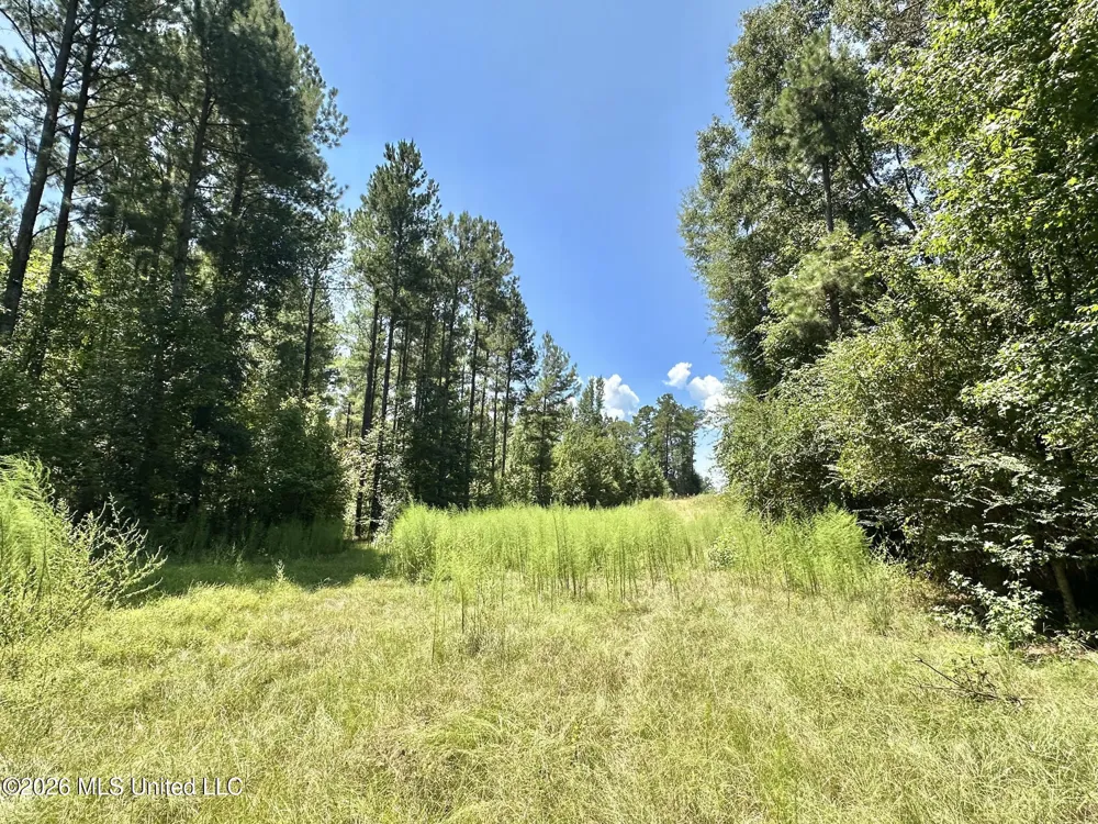 2 County Road 24 Enterprise, MS 39330