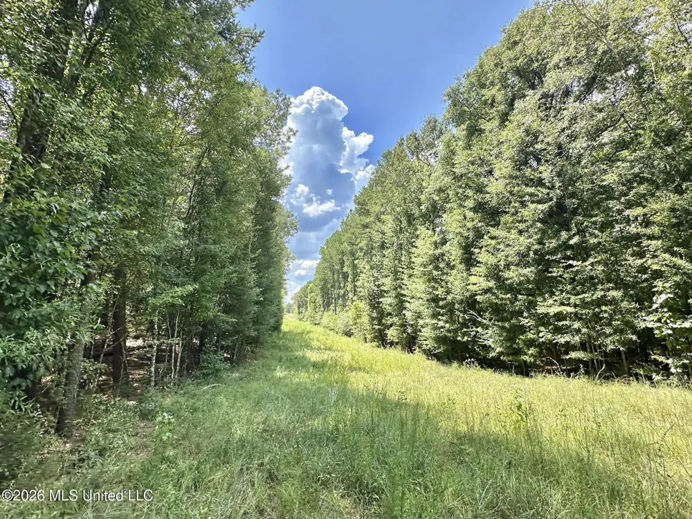 2 County Road 24 Enterprise, MS 39330