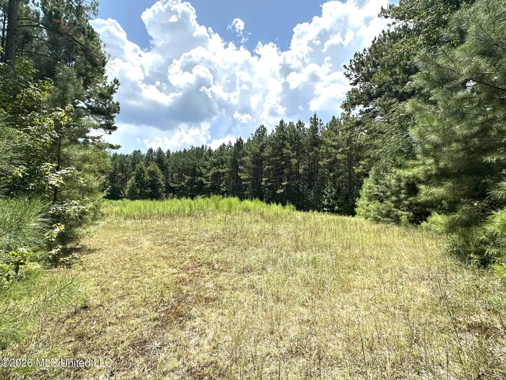 2 County Road 24 Enterprise, MS 39330