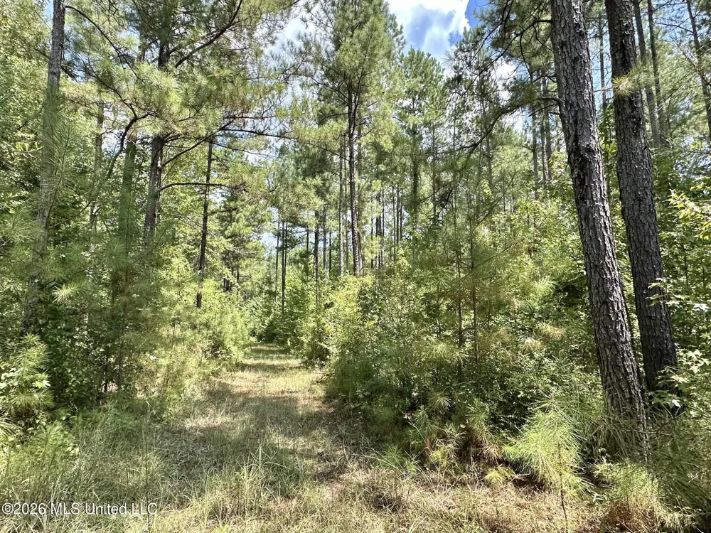 2 County Road 24 Enterprise, MS 39330