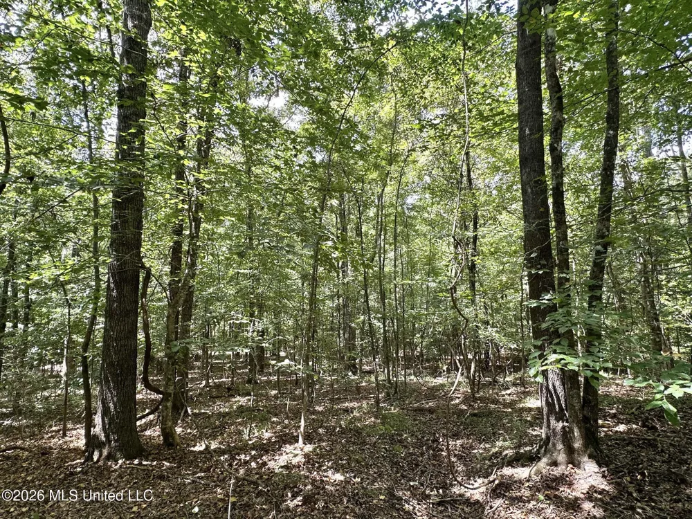 2 County Road 24 Enterprise, MS 39330