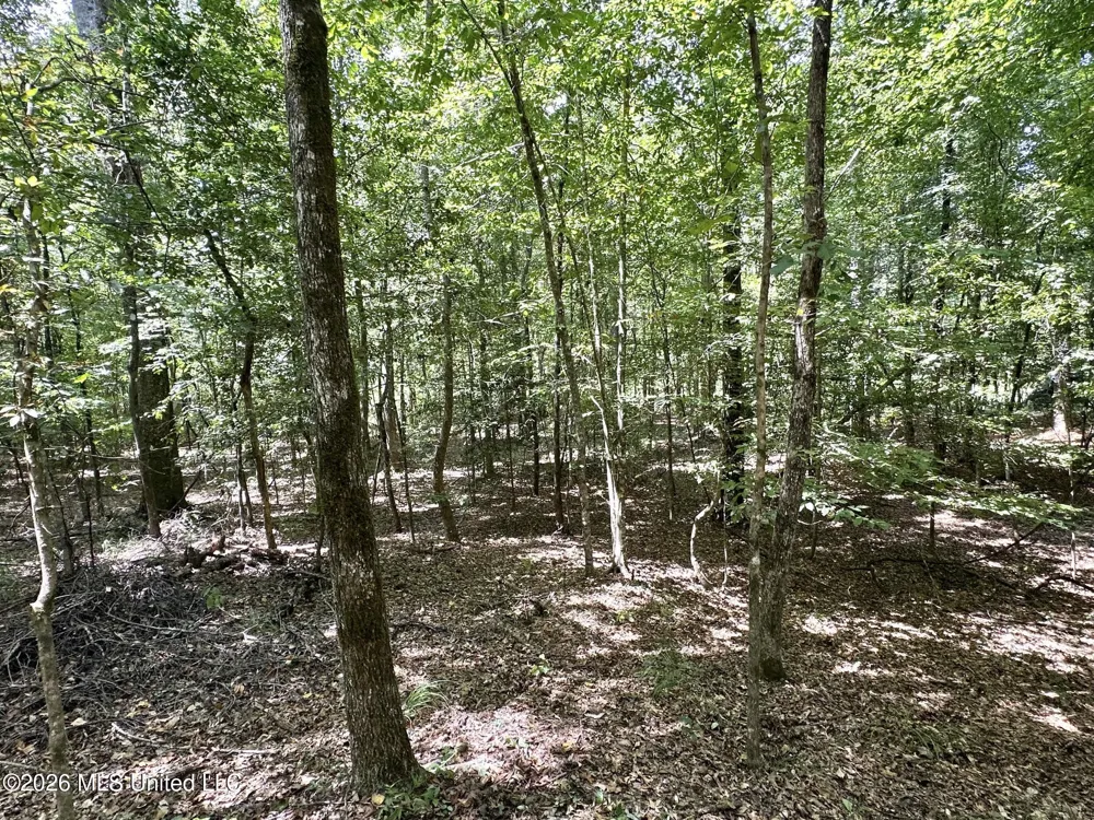 2 County Road 24 Enterprise, MS 39330