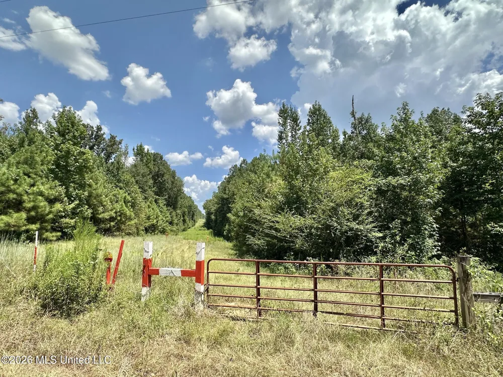 2 County Road 24 Enterprise, MS 39330