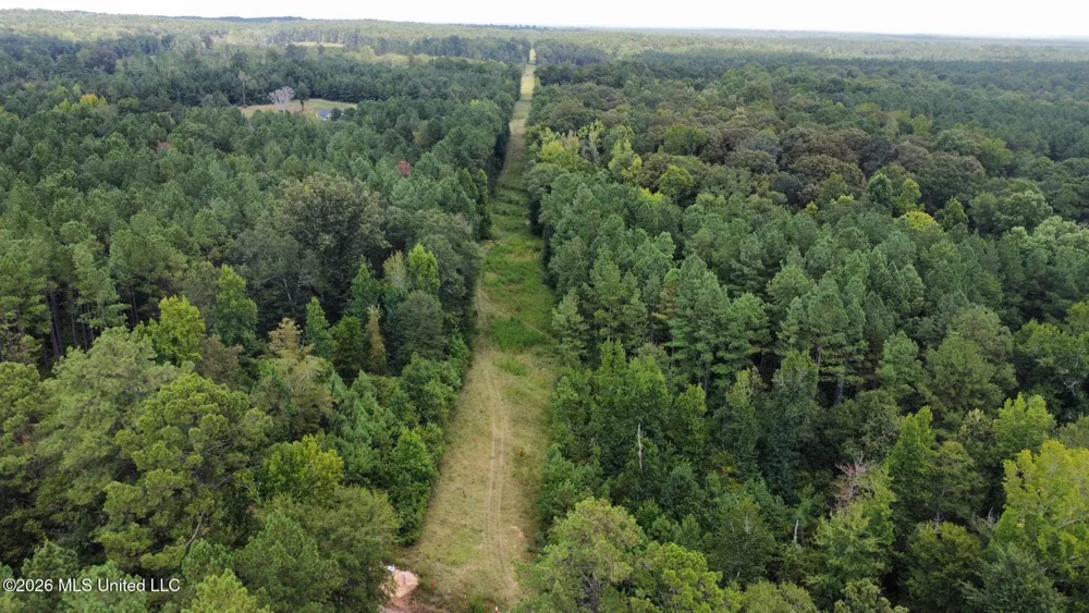 2 County Road 24 Enterprise, MS 39330