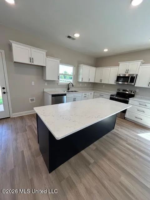 6070 E River Birch Road Walls, MS 38680