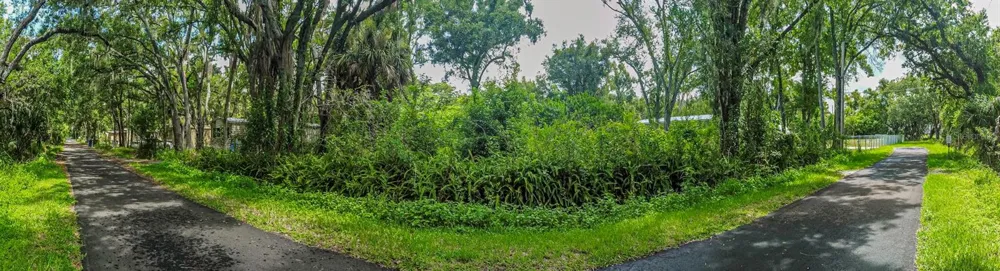 TBD LAKE AVENUE Tampa, FL 33619