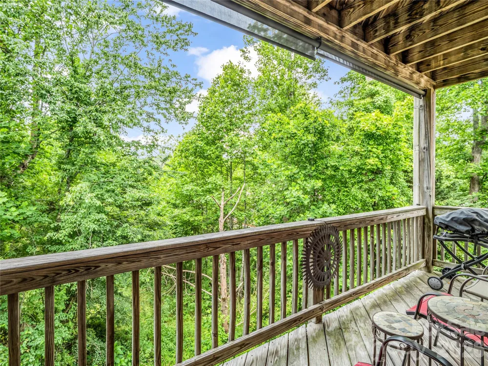 119 Downing Park Court #E Brevard, NC 28712