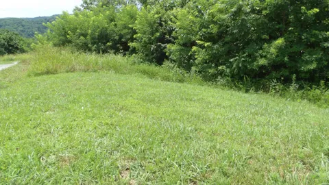 17 D Crappie Lane