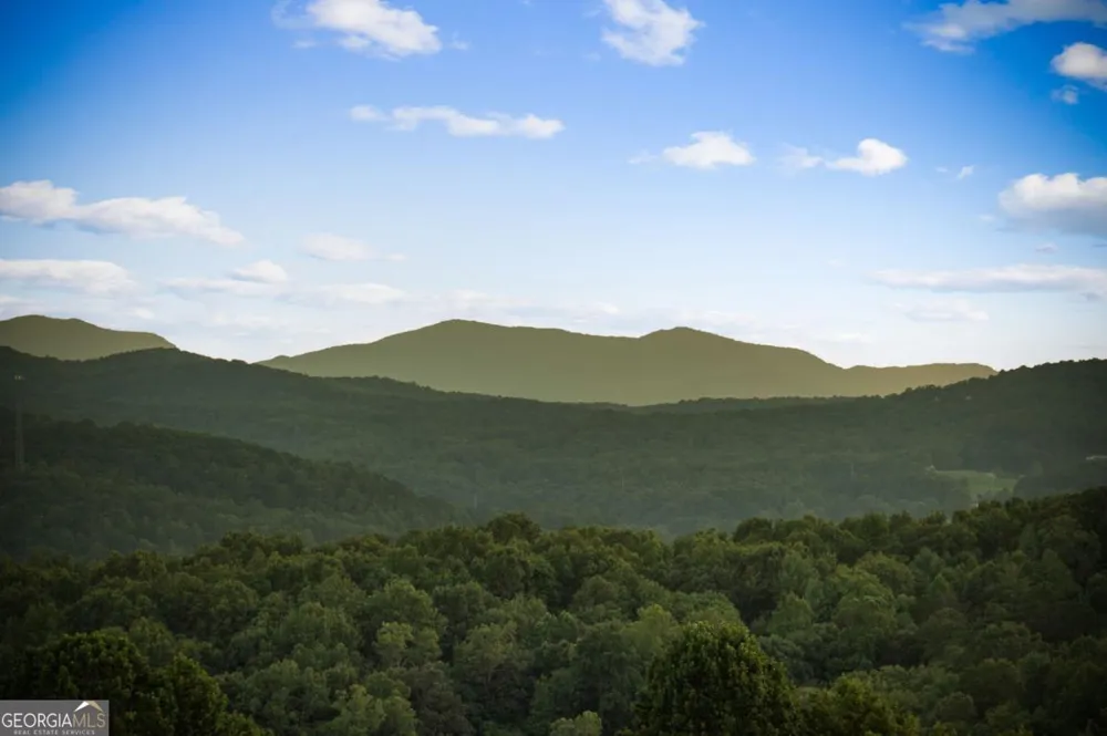 261 Big Valley DR Morganton, GA 30560